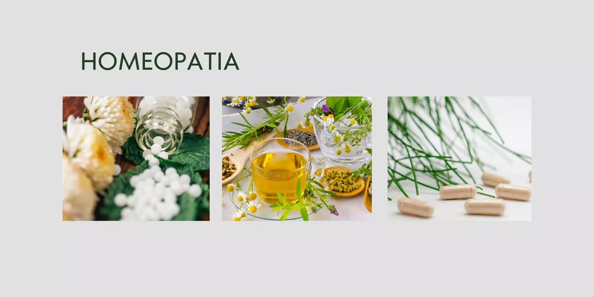 solicite seu orçamento