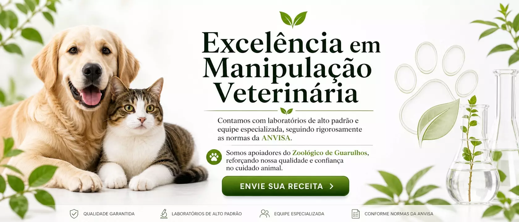 Enviar receita